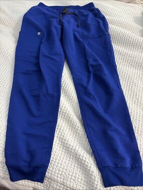Fabletics Scrub Pants